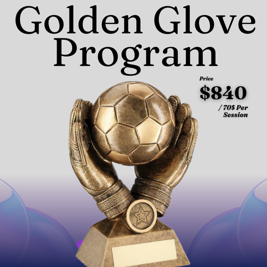 Performance Program (12 Sessions)